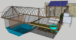 pool to greenhouse