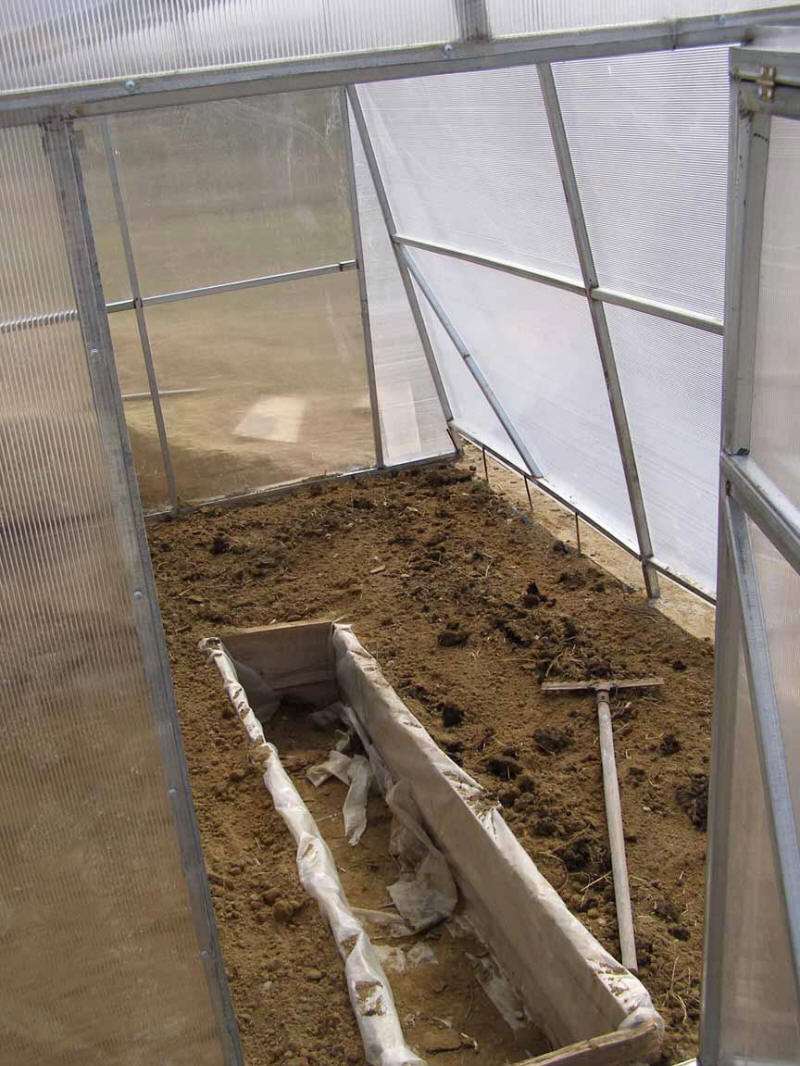 Inside the greenhouse