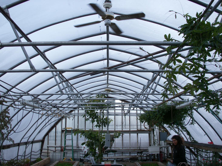 Greenhouse framing overview