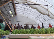 manitoba winter greenhouse